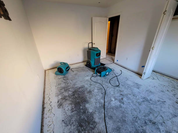 Best Ceiling water damage repair  in Grill, PA