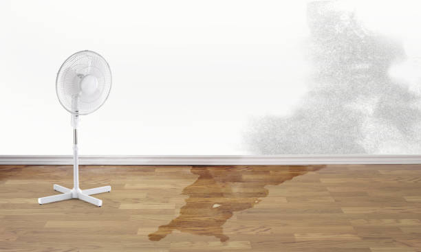 Best Professional water damage repair  in Grill, PA