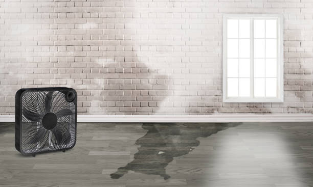 Best Water damage restoration near me  in Grill, PA